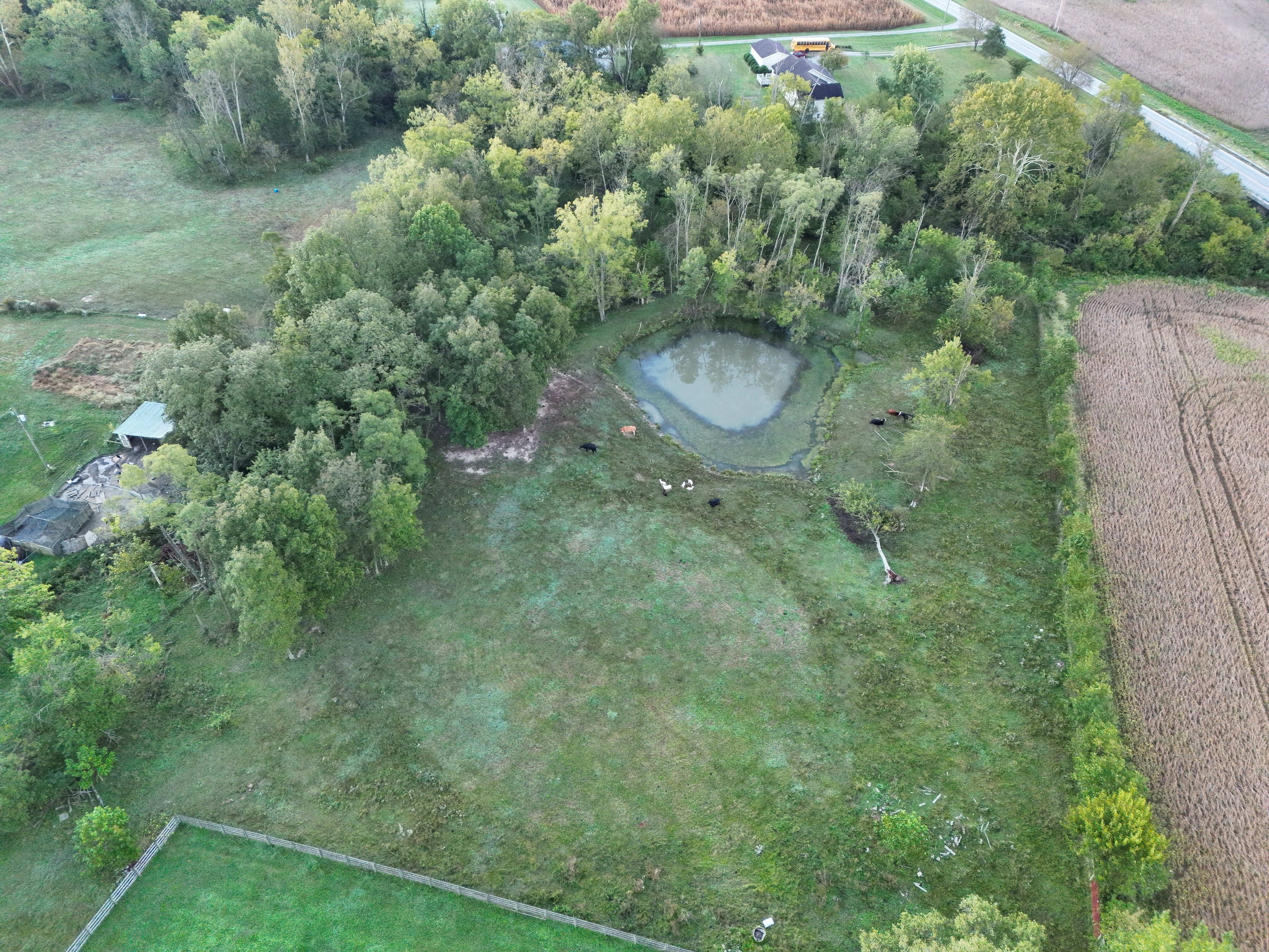 Aerial view for animal recovery