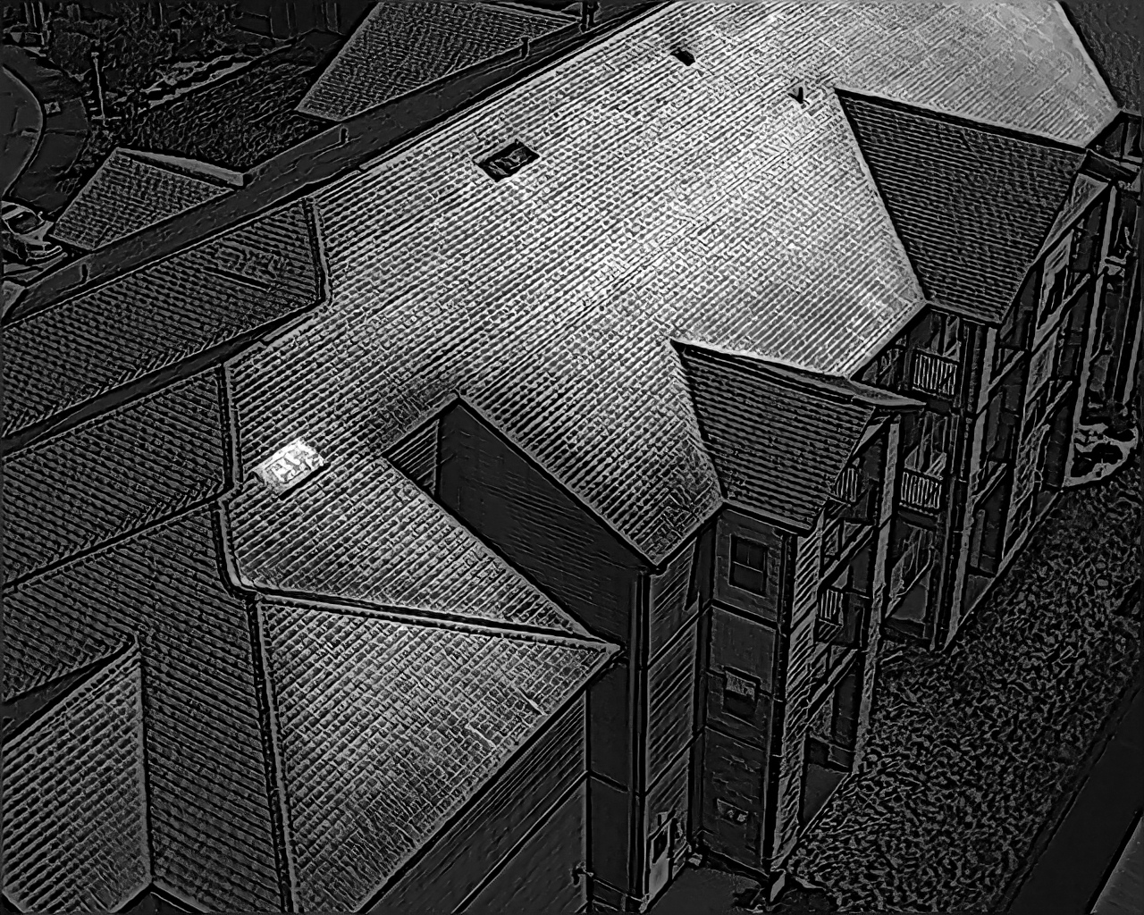 Commercial roof thermal imaging